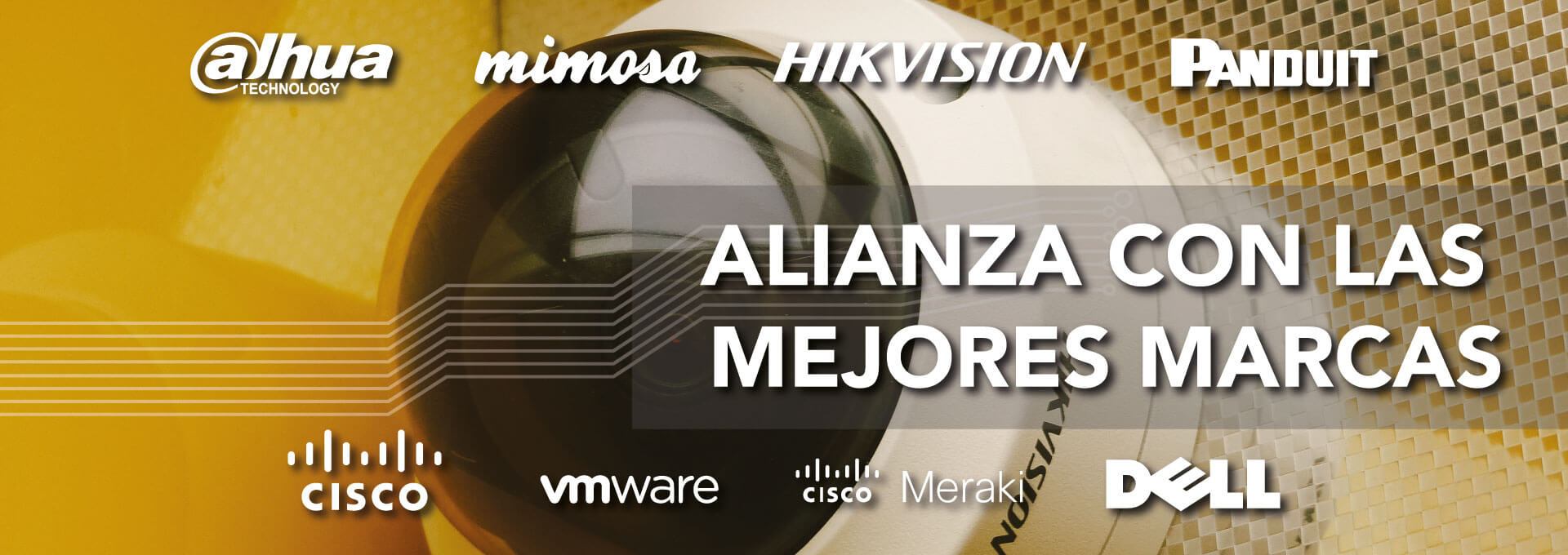 Alianza con las mejores marcas